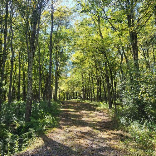 TBD Stephenson Road, Bethel, NY, 12720 | Card Image