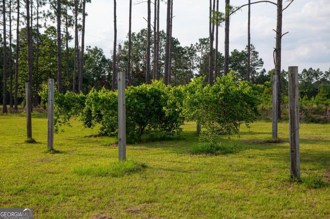 5407 Us Highway 221 S, Home with 4 bedrooms, 4 bathrooms and null parking in Uvalda GA | Image 35