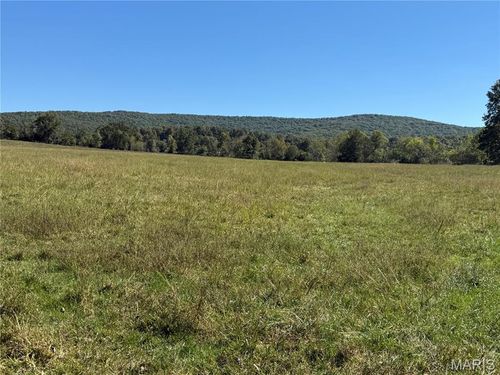 0 Billings St, Des Arc, MO, 63636 | Card Image