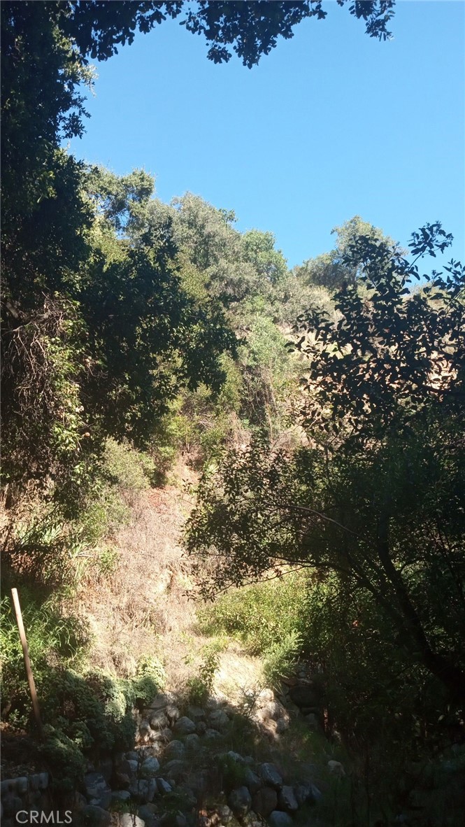 Land in Claremont 3