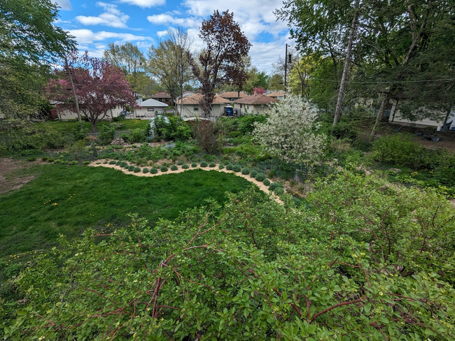 Spring has started to sprung on Burns Avenue! | Image 17
