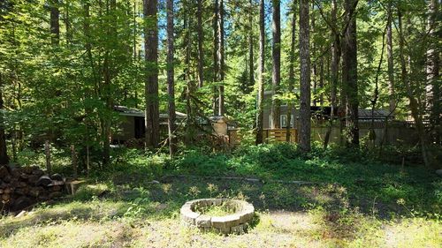 82 Riverside Dr, Deming, WA, 98244 | Card Image