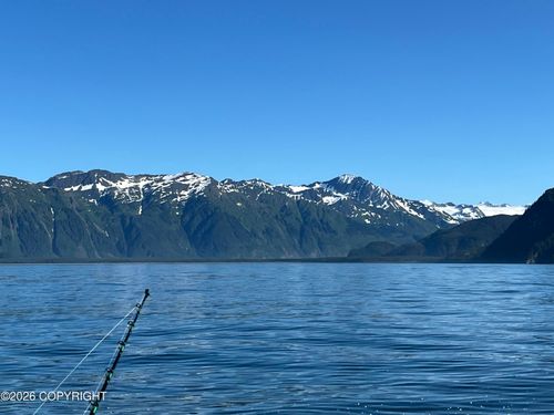 S93-55 TrC Tiehacker Rd, Seward, AK, 99664 | Card Image