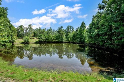 587 Mountain Dr, REMLAP, AL, 35133-5109 | Card Image