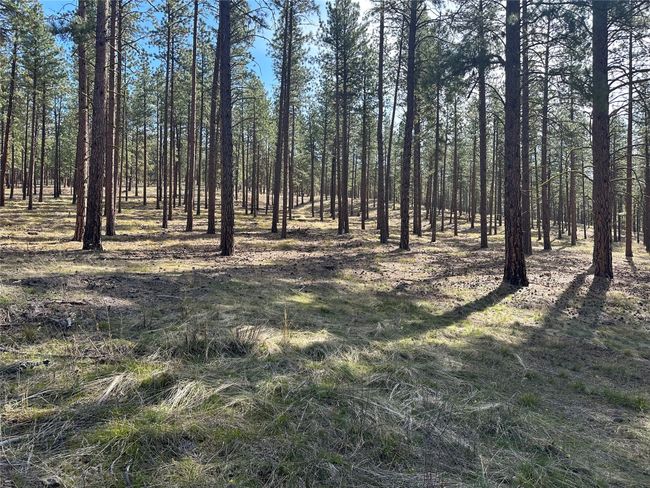 31760 Old Highway 10 W, Home with 0 bedrooms, 0 bathrooms and null parking in Alberton MT | Image 36