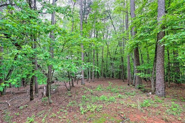 521 Crabapple Rd, House other with 4 bedrooms, 3 bathrooms and 2 parking in Clarkesville GA | Image 66