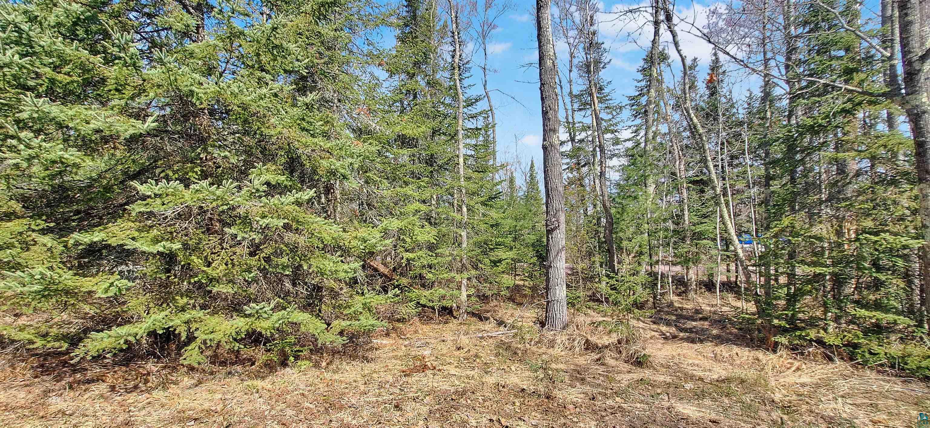 Land in LaPointe 2