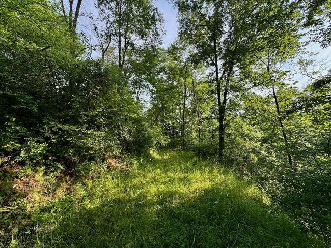 E13758 Highway 82, House other with 4 bedrooms, 2 bathrooms and null parking in Stark WI | Image 58