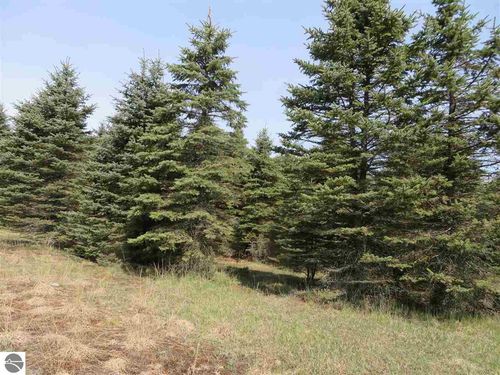 4 Spruce Hollow Trce, Fife Lake, MI, 49633 | Card Image