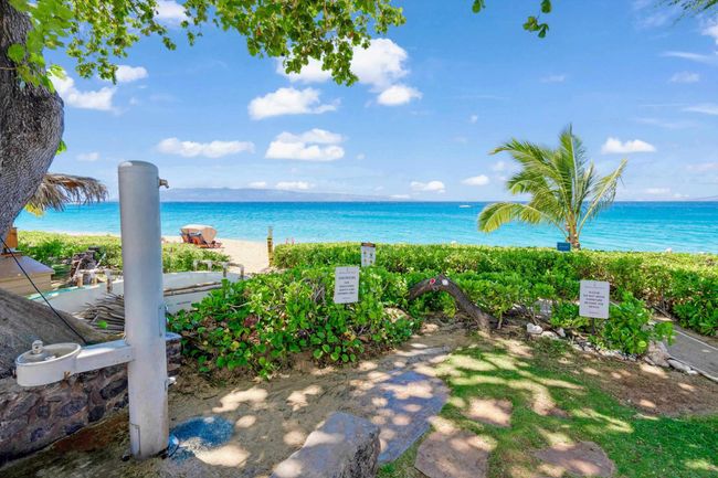 302 - 45 Kai Ala Dr, Condo with 1 bedrooms, 1 bathrooms and null parking in Lahaina HI | Image 33