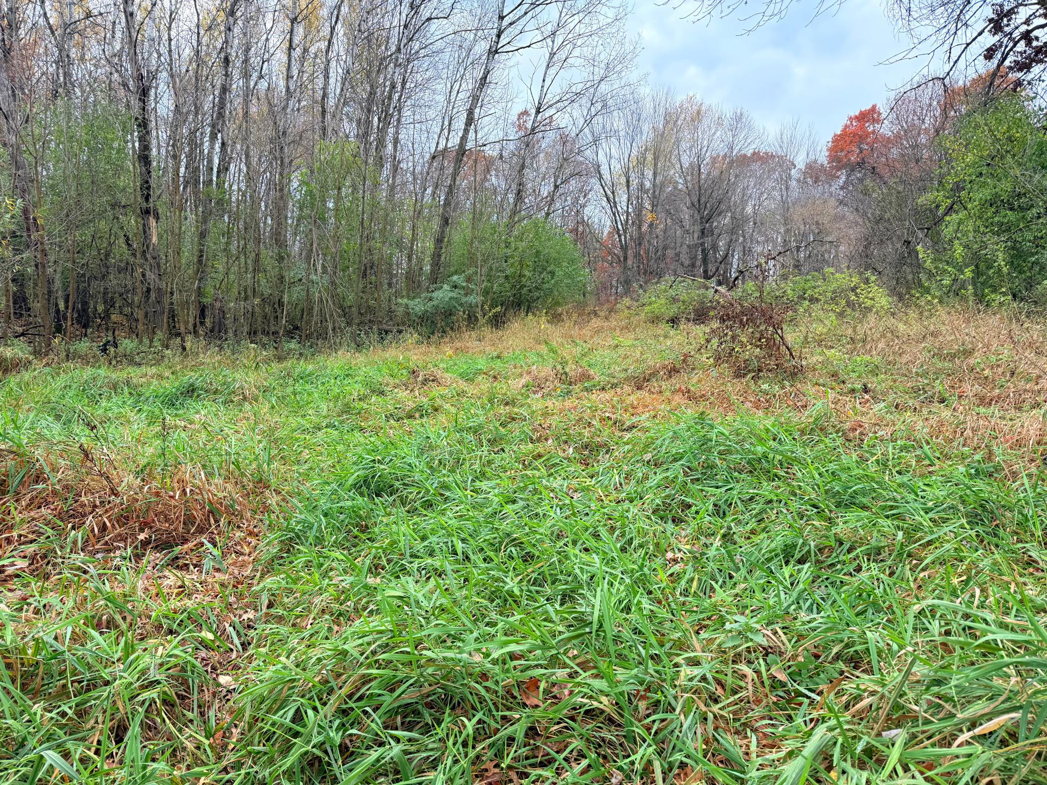 Land in Amery 5