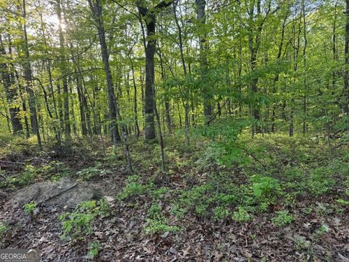 1440 Hannah Dr Ne, Ranger, GA, 30734-7802 | Card Image