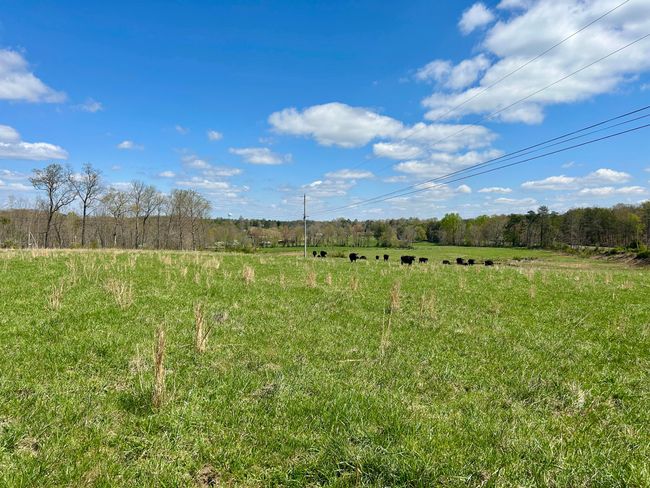 428 Dick Wilson Rd, Home with 0 bedrooms, 0 bathrooms and null parking in Strunk KY | Image 21