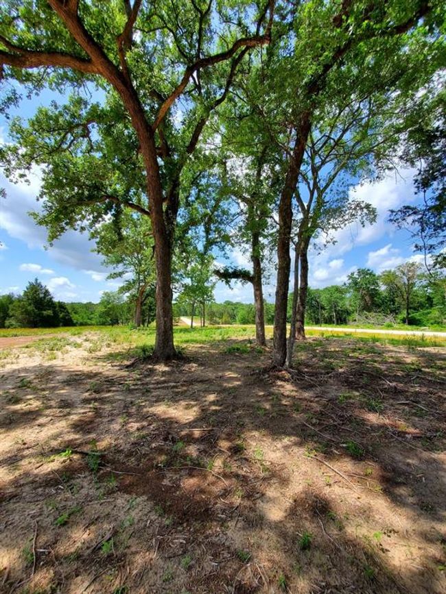 21 Cr 389, Home with 0 bedrooms, 0 bathrooms and null parking in Jewett TX | Image 4