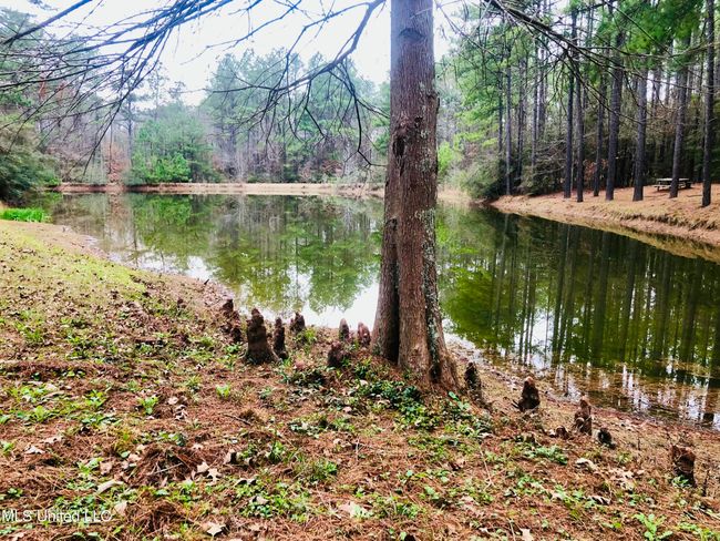 tempImage9JmU2U | Image 53