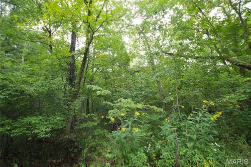 4.14 +/- Acres Pendleton Lost Creek Road, Warrenton, MO, 63383 | Card Image
