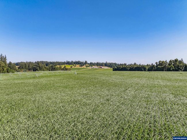 21303 S Central Point Rd, House other with 5 bedrooms, 1 bathrooms and null parking in Oregon City OR | Image 17