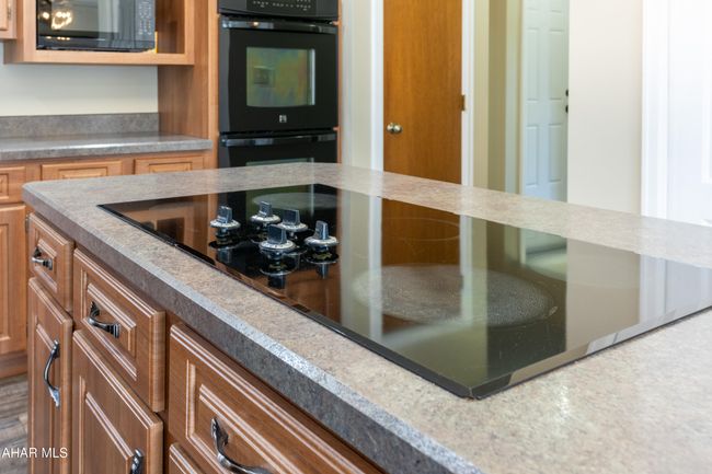 1474 Locke Mountain Rd, House other with 3 bedrooms, 3 bathrooms and null parking in HOLLIDAYSBURG PA | Image 19