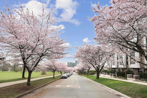 7623 Yukon St, Vancouver, BC, V5X2Y4 | Card Image