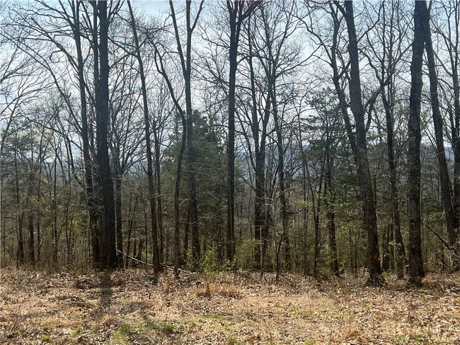 783 Nc 8400, House other with 2 bedrooms, 1 bathrooms and null parking in Jasper AR | Image 28