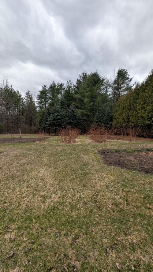 0 River Bend Dr, Plattsburgh, NY, 12901 | Card Image