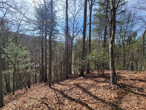 TBD (Lot 72) Creekside Meadows Dr, Fleetwood, NC, 28626 | Card Image