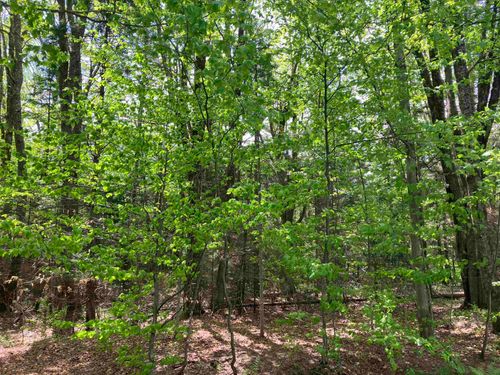 118 High Top Road, Wilmington, VT, 05363 | Card Image