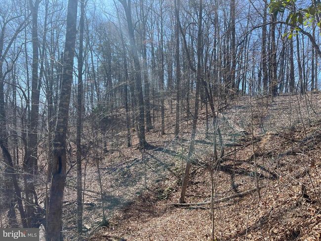 0 Bear Cove Rd, Home with 0 bedrooms, 0 bathrooms and null parking in Bryson City NC | Image 14