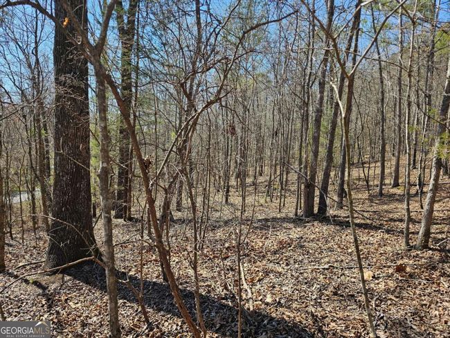 TRACT-4 - 0 Prior Station Rd, Home with 0 bedrooms, 0 bathrooms and null parking in Cedartown GA | Image 8