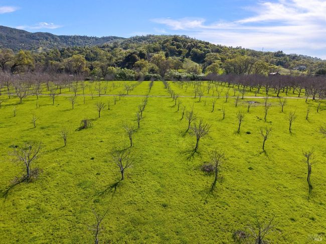 10950 Bachelor Valley Rd, House other with 3 bedrooms, 2 bathrooms and 20 parking in Witter Springs CA | Image 23