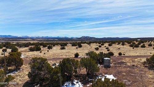 41 Antelope Rd, Concho, AZ, 85924 | Card Image