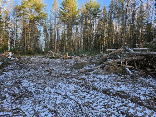 3051 Highway 534, Nipissing, ON, P0H1W0 | Card Image