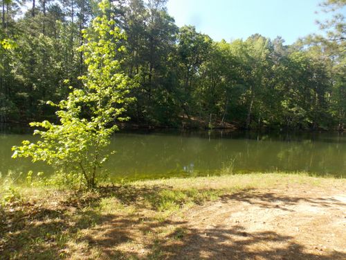 12 Riverview Ct, Lincolnton, GA, 30817 | Card Image