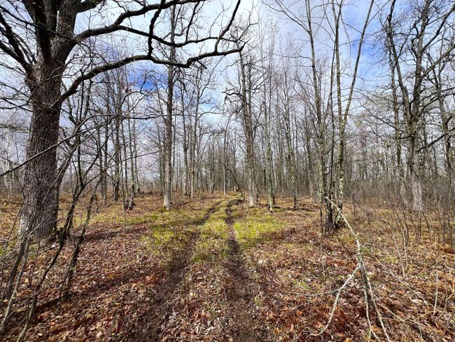 62126 Tamarack River Rd, Home with 0 bedrooms, 0 bathrooms and null parking in SANDSTONE MN | Image 24