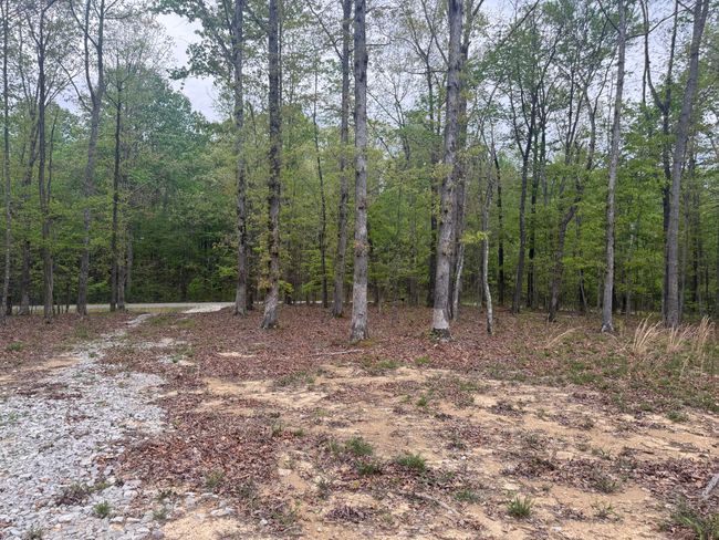 0 Deerwood Dr, Home with 0 bedrooms, 0 bathrooms and null parking in Sewanee TN | Image 7