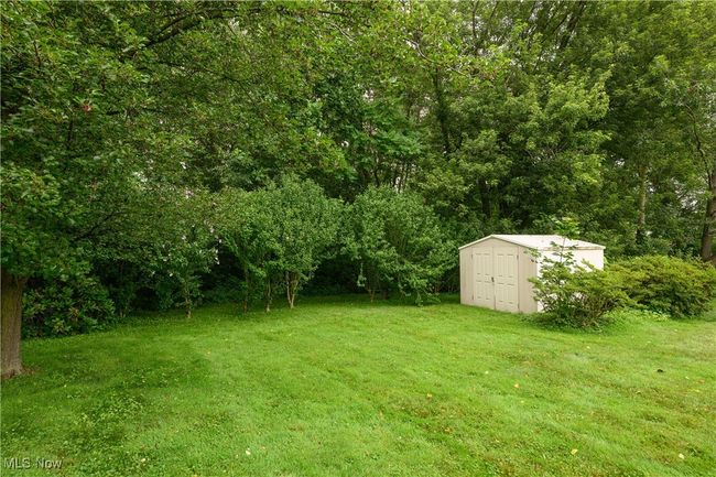 View of grassy yard with a shed | Image 22