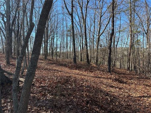 0 Charlie Lemley Rd, Dawsonville, GA, 30534 | Card Image