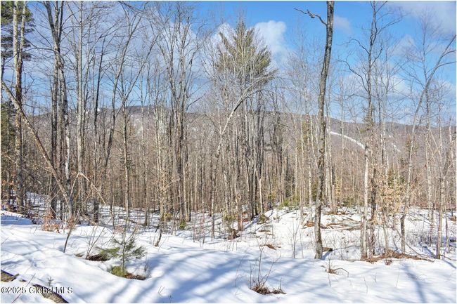 48 Durkin Rd, Home with 0 bedrooms, 0 bathrooms and null parking in North Creek NY | Image 53