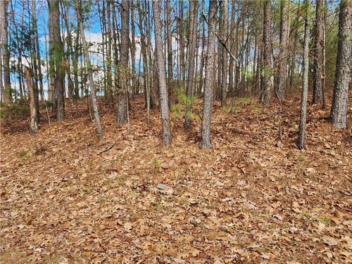 91 Cannon Ridge Vw, Dallas, GA, 30132-5423 | Card Image