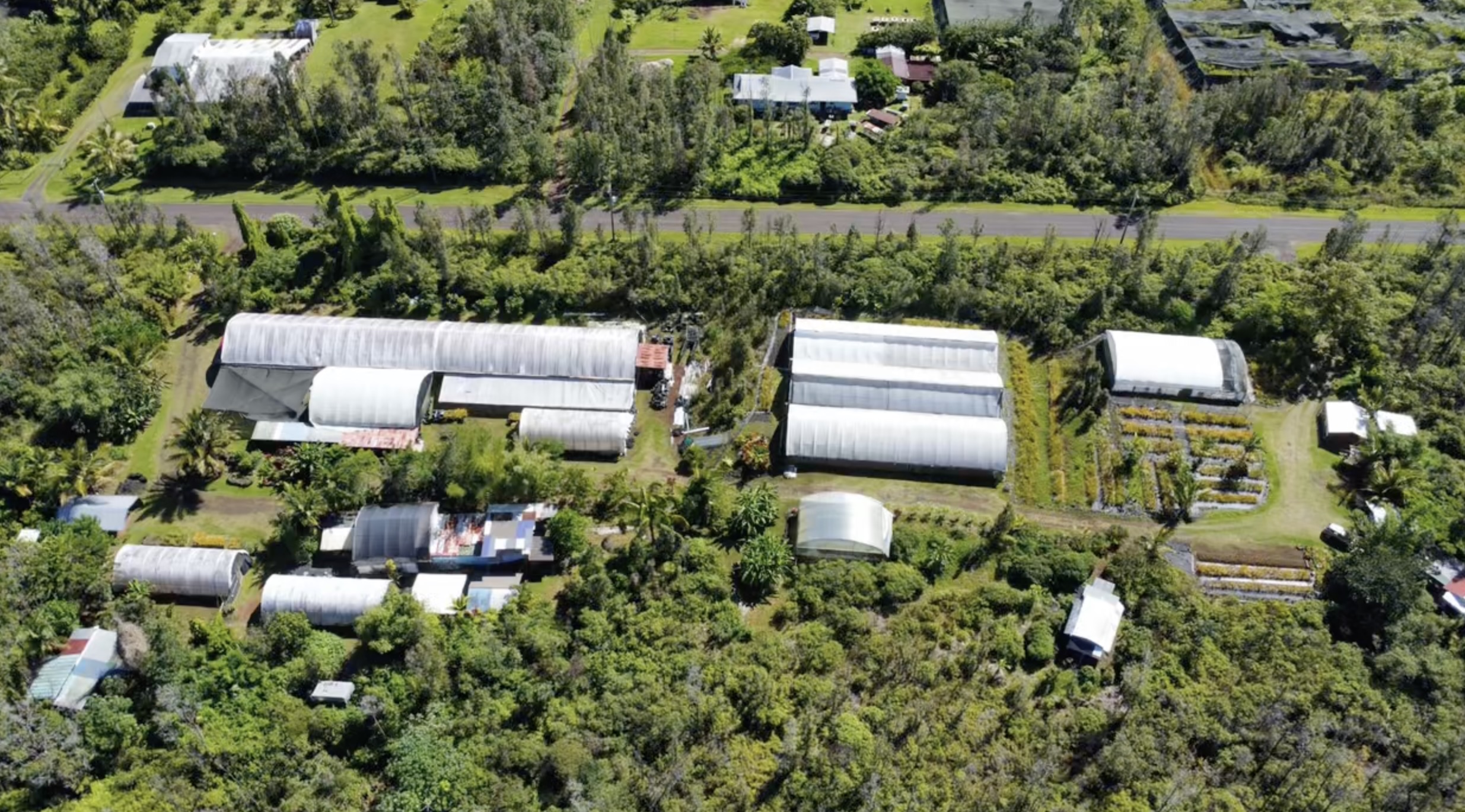 Land in Pahoa