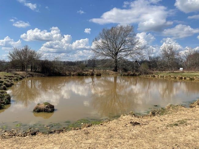 380 Browntown Rd, Home with 0 bedrooms, 0 bathrooms and null parking in Morrison TN | Image 6