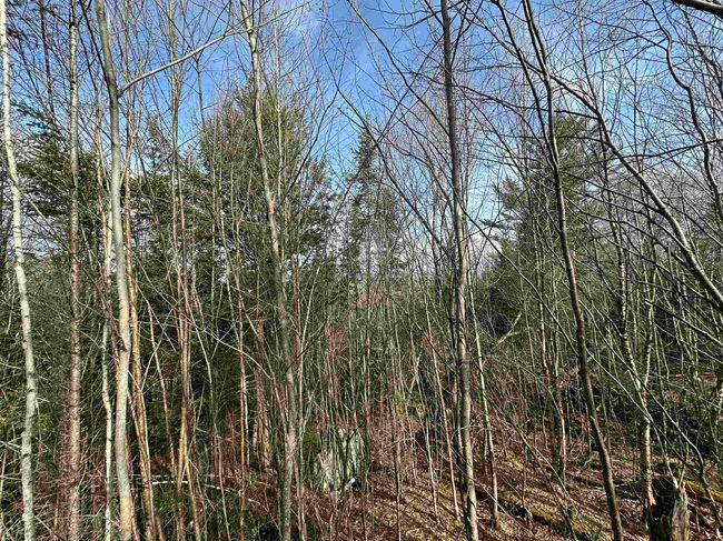 Lot 109 Steeple View Dr, Home with 0 bedrooms, 0 bathrooms and null parking in Bethlehem NH | Image 16