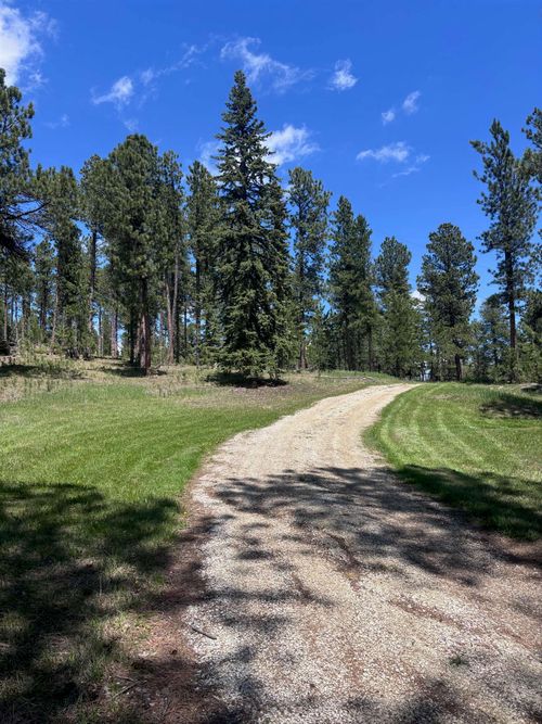 12204 Nemo Rd, Nemo, SD, 57759-7620 | Card Image