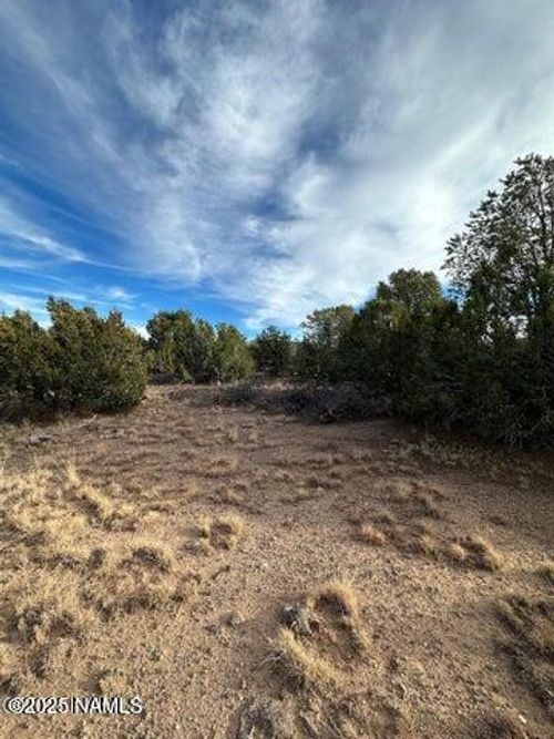 908 E Hualpai Trl, Williams, AZ, 86046 | Card Image