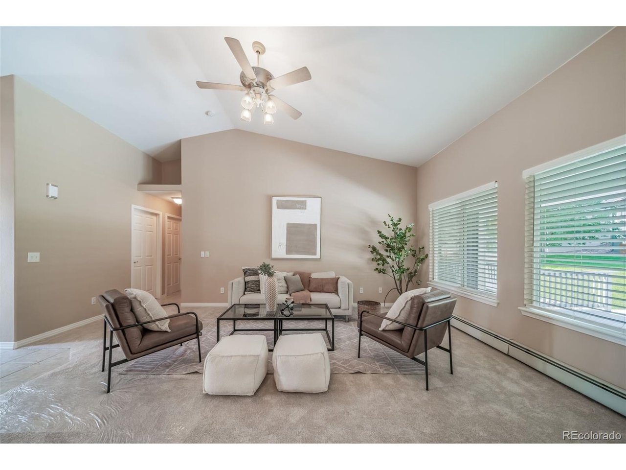 Residential in Castle Rock 4