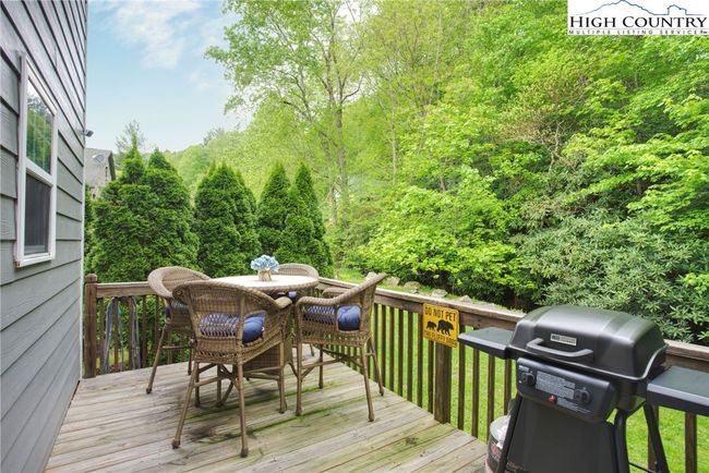 APT-2 - 198 Beech Haven Rd, Townhouse with 2 bedrooms, 3 bathrooms and null parking in Banner Elk NC | Image 16