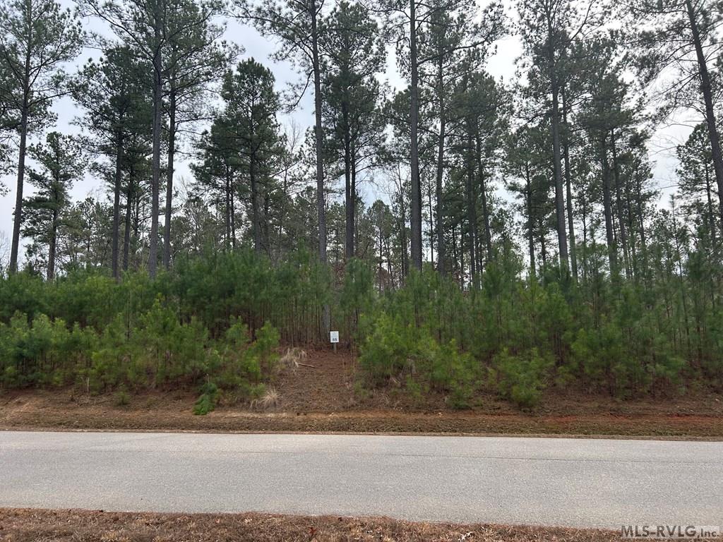 Land in Macon 3