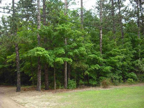 Parcel F3A Jackson Creek Road, Paradise Township, MI, 49649 | Card Image