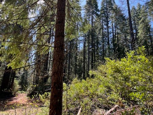 0 Juniper Ln, Strawberry Valley, CA, 95981 | Card Image