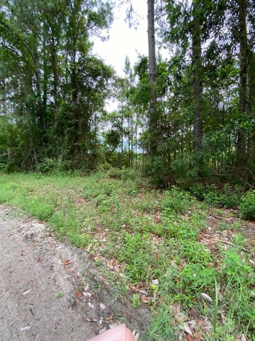 XX Jer Be Lou Cir, PANACEA, FL, 32346 | Card Image